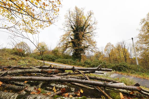Vodice: Jesenja mističnost Ćićarije