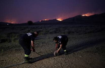 Zbog udisanja dima u šumskim požarima umrlo je 445 ljudi