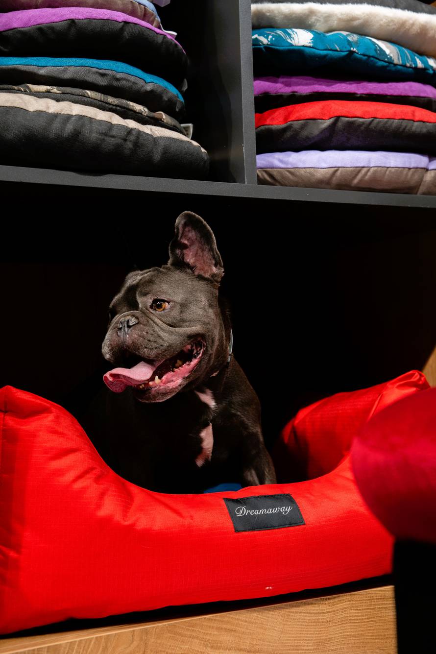 Nova razina iskustva kupovine za vlasnike kućnih ljubimaca