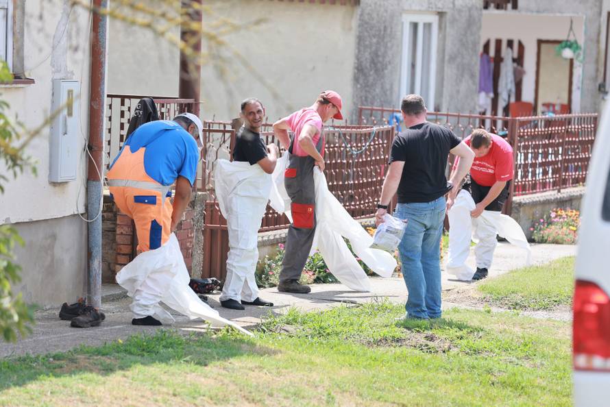 Jagodnjak: Započela je eutanazija životinja zaraženih svinjskom kugom