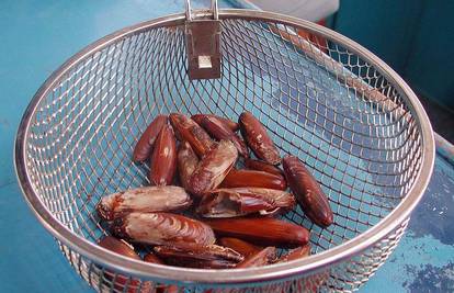 Umažanin protuzakonito iz mora izvadio 12 kg školjki
