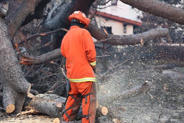 100 FOTOGRAFIJA UŽASA Ovo su vatrogasci snimili u paklu LA-a!