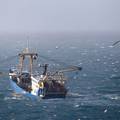 Francuski ribari prosvjeduju u La Mancheu zbog uvjeta izlova nametnutih nakon Brexita