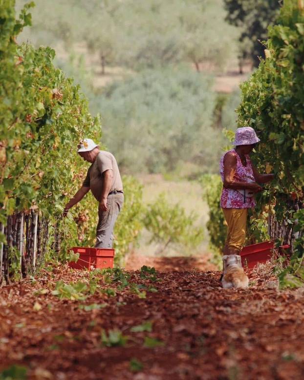 FOTO Evo koje hrvatsko selo je na listi najboljih sela svijeta za turiste - jeste li čuli za njega?