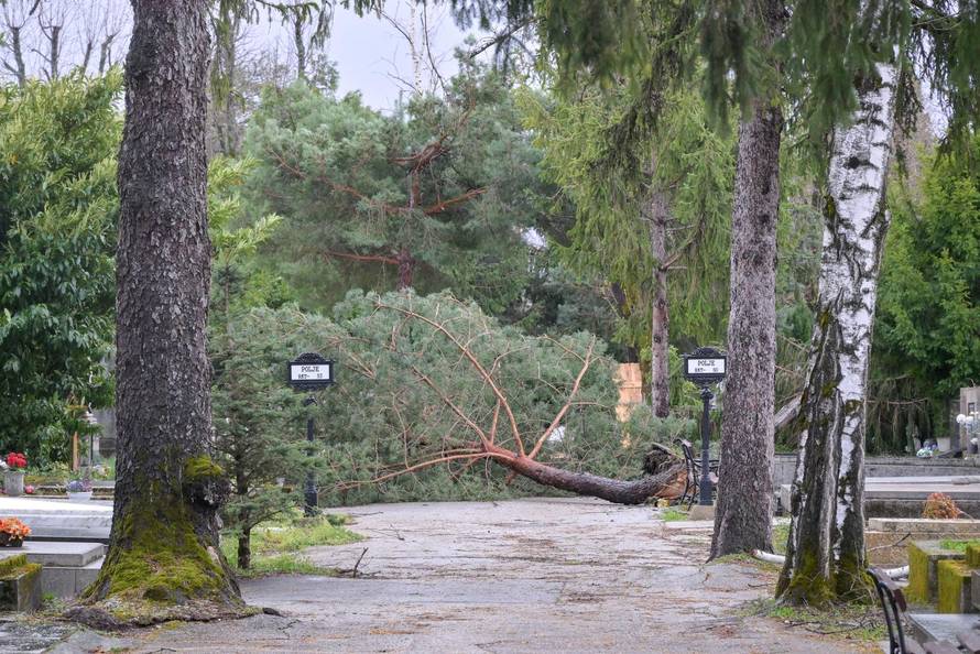 Zagreb: Teško oštećeno gradsko groblje Mirogoj