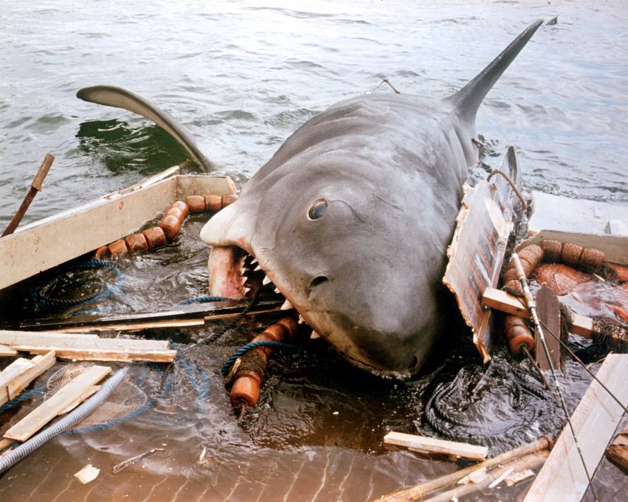 JAWS, 1975