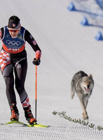 Winter Olympics in Milan Cortina 2026