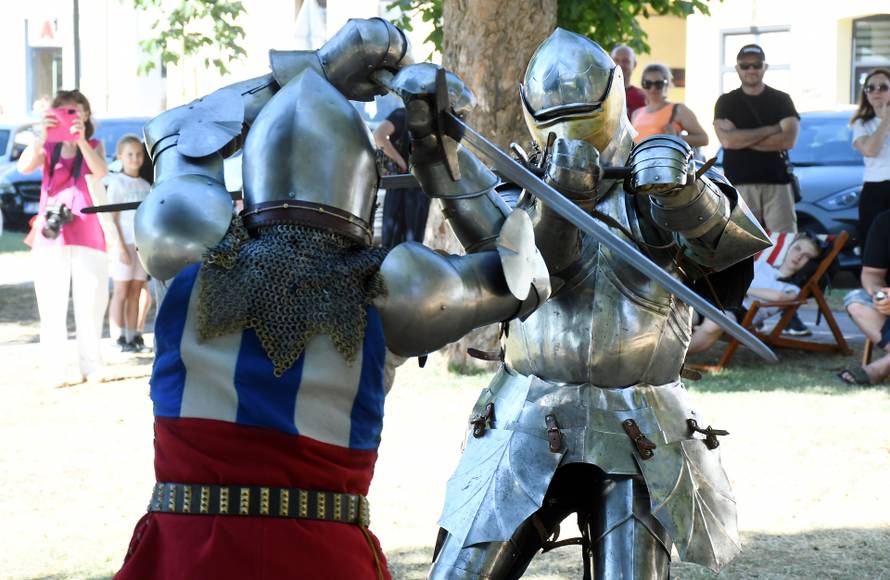 Povijesna manifestacija Bitka kod Siska