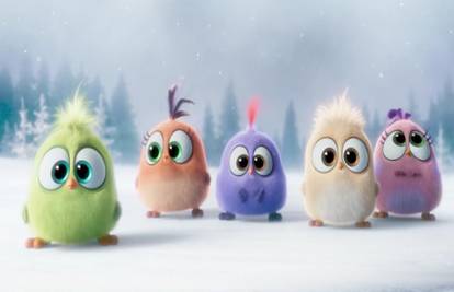 'Angry Birds' su nam čestitale Božić na najsimpatičniji način