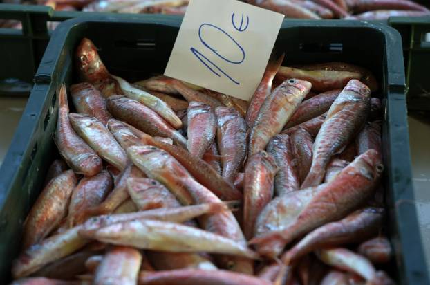 Šibenik: Ponuda ribe u šibenskoj ribarnici