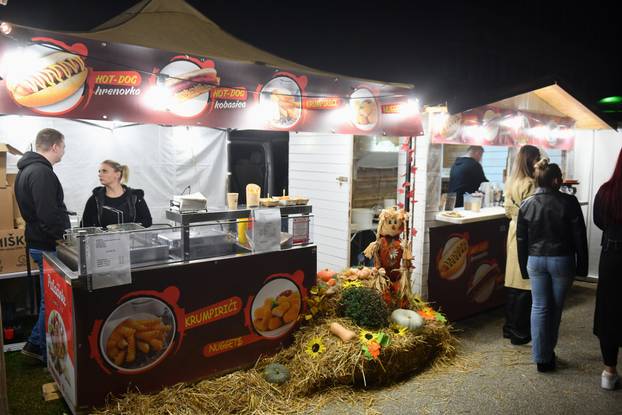 Ivanić-Grad: Koncertom Jelene Rozge, otvorena Bučijada