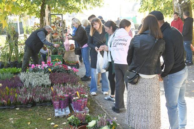 Daruvar: Sadržajan 22. daruvarski cvjetni sajam imao je humanitarno obilježje za Ligu protiv raka