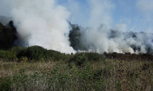 Vatrogasci su morali gasiti požar  trave pokraj Ivanje Reke