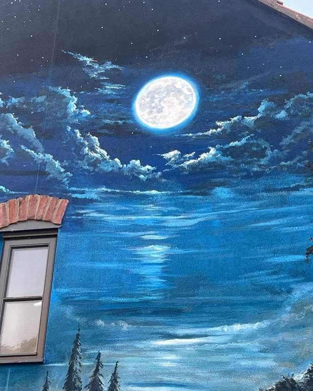 FOTO Umjetnik iscrtava murale na domovima: Pogledajte vrt na vanjskom zidu kuće!