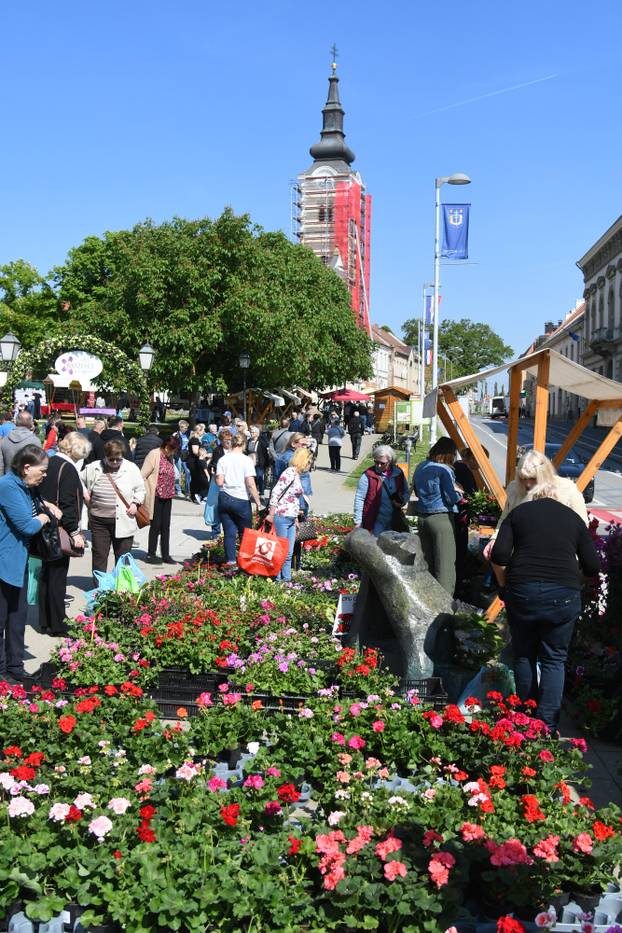 Obilježavanje Dana grada Križevaca uljepšano je cvjetnom manifestacijom "Križevci u cvijeću"