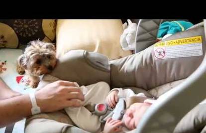 Pas prvi put u životu upoznaje bebu: Uljepšati će vam dan