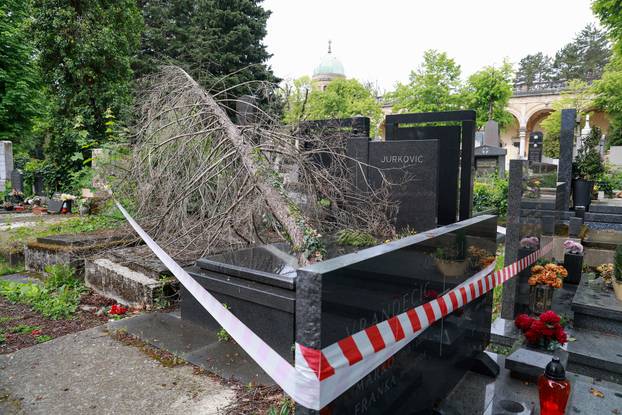 U oluji porušena stabla na Mirogoju napravila su veliku štetu