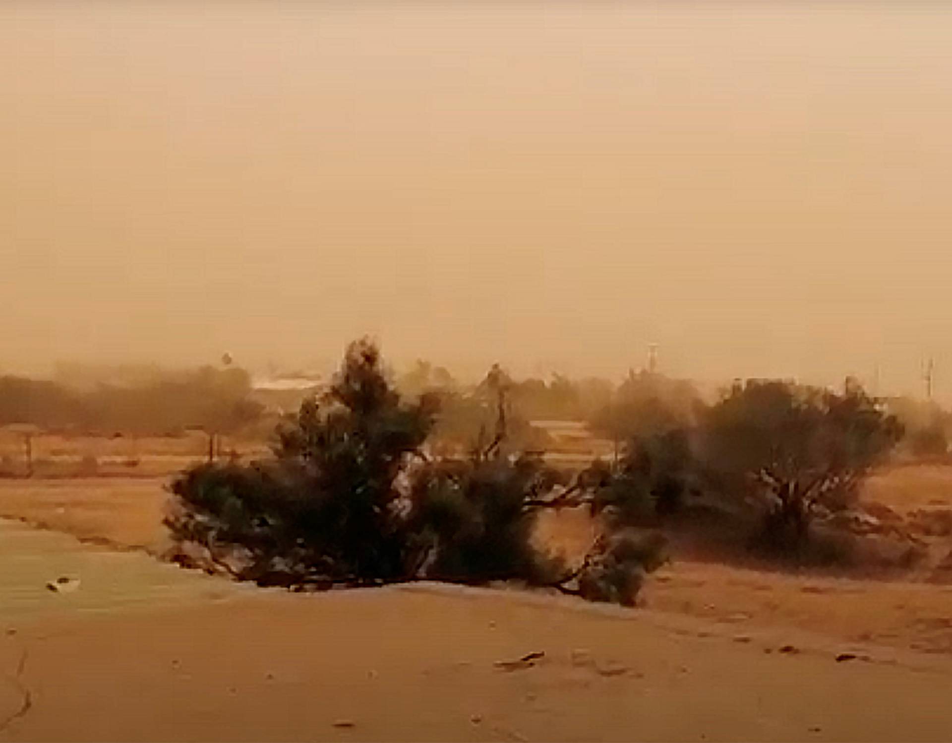 A dust storm blows across Carnarvon, Western Australia