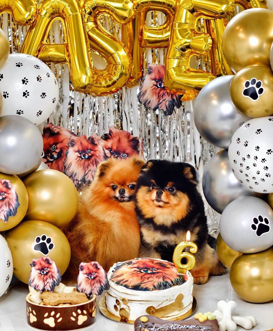 Grubnić priredio raskošni tulum psu: 'Nitko me nije volio toliko, sam Bog te poslao da me čuvaš'