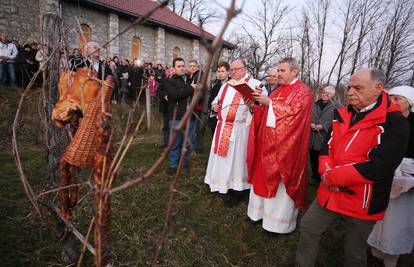 Vinkovo u Iloku: Blagoslovom započela vinogradarska godina