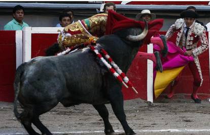 Bik matadoru zabio rog u prepone i probio mu žile