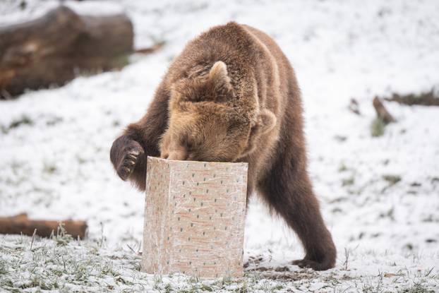 Zagreb: Podjela darova životinjama u Zoološkom vrtu