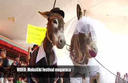 Modna revija: Obukli magarce u vjenčanice, nakit i haljine