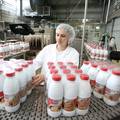 Dukat za 15 lipa diže otkupne cijene mlijeka od početka lipnja