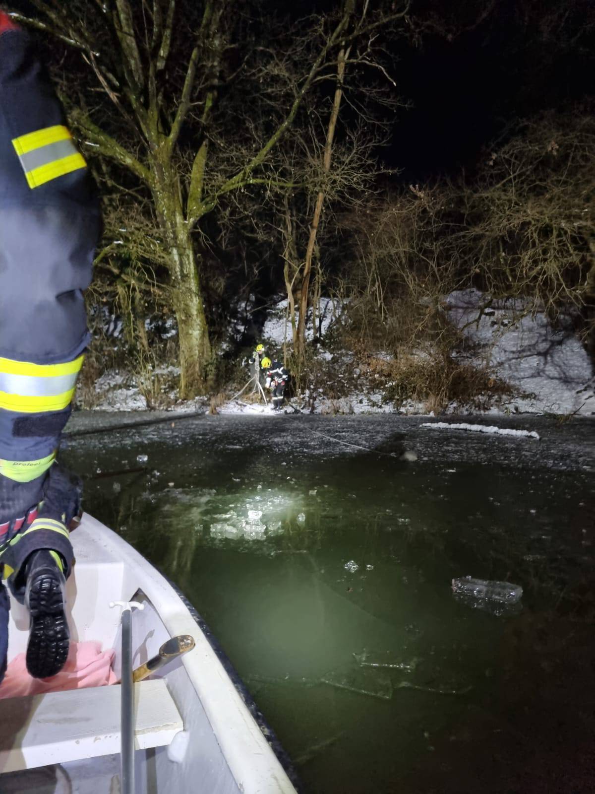Vatrogasci spasili labuda iz zaleđene rijeke u Brdovcu...