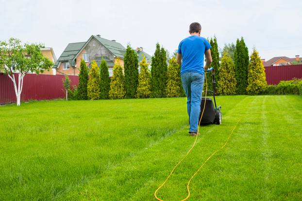 A,Gardener,With,A,Lawn,Mower,Is,Cutting,Grass,In