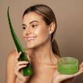 Aloe vera - ljetni eliksir za kožu: Evo kako je najbolje koristiti