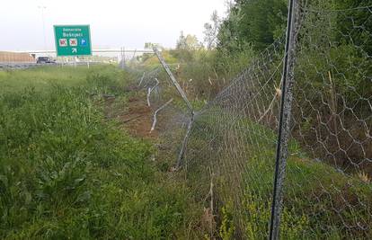 Stravični sudar na A3: Četvero poginulih, a među njima  i dijete