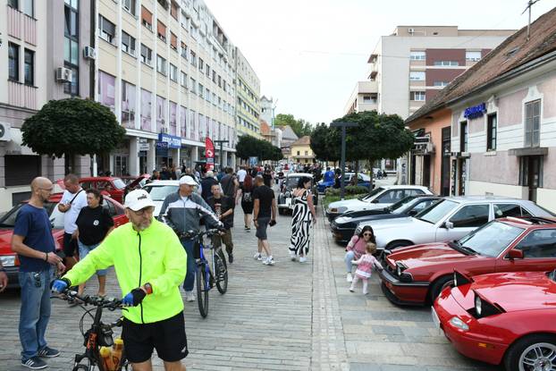 Sisak: Održani tradicionalni 34. Oldtimer susreti 