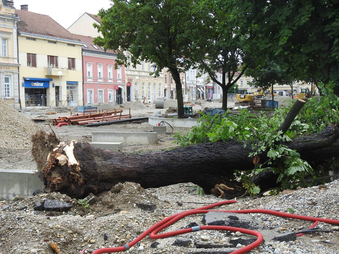 Strašno nevrijeme poharalo i Koprivnicu: Vjetar čupao i lomio stabla, nastala ogromna šteta