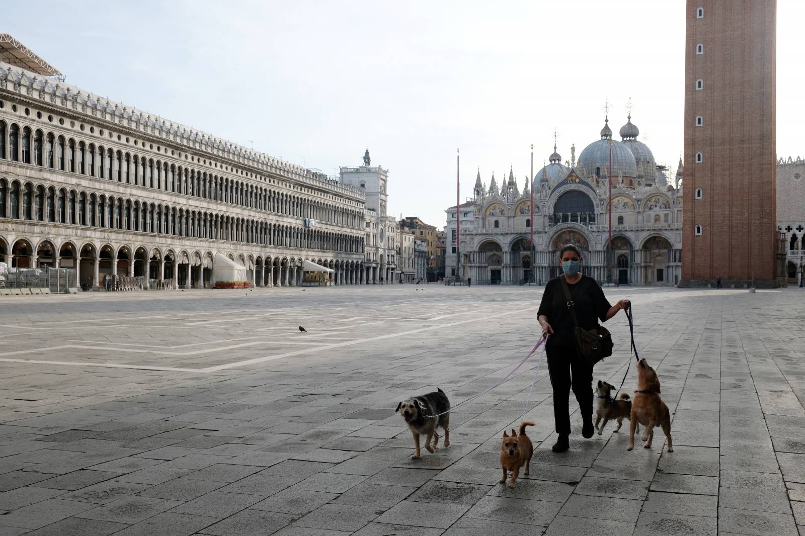 A woman walks with her dogs in St Mark's Square as Italy eases some of the lockdown measures put in place during the coronavirus disease (COVID-19) outbreak in Venice