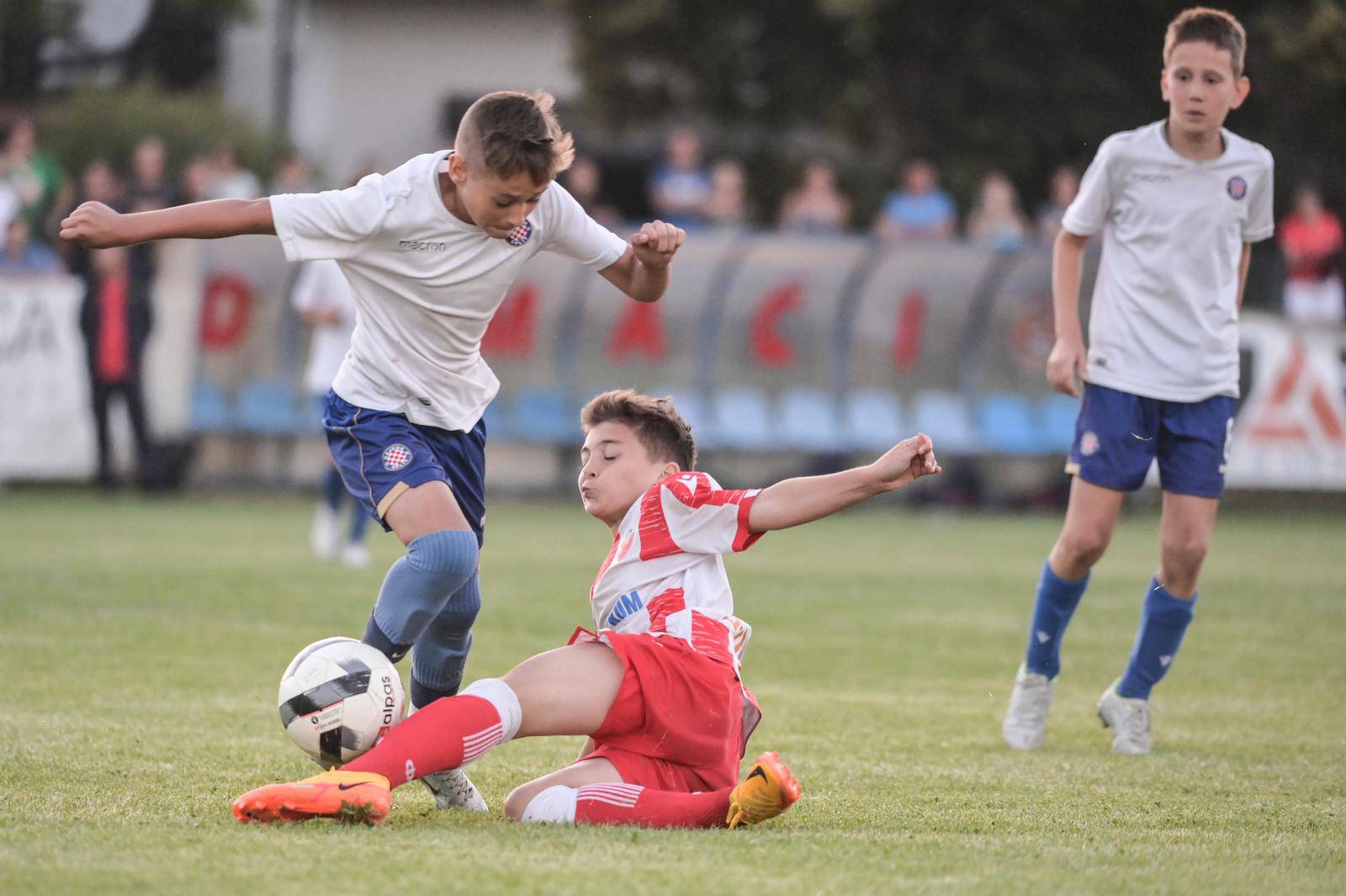 Velika Gorica: Alpas kup, finale nogometnog turnira za limače između Hajduka i Crvene zvezde