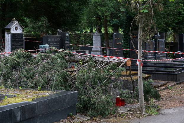 U oluji porušena stabla na Mirogoju napravila su veliku štetu