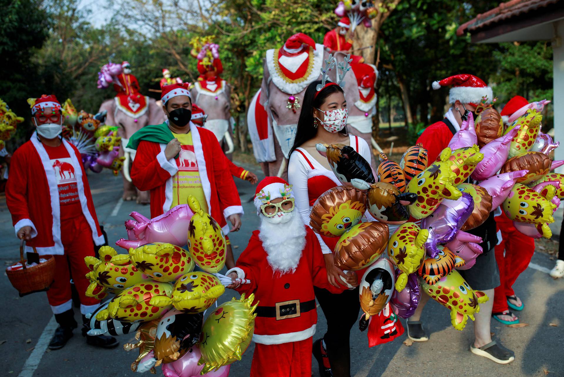 Elephants in Santa Claus costumes vist to a school