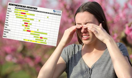 Krenule su alergije! Provjerite peludni kalendar za Hrvatsku