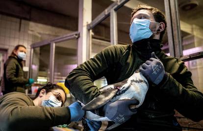Ptičja gripa u Mađarskoj, moraju zaklati 100.000 peradi