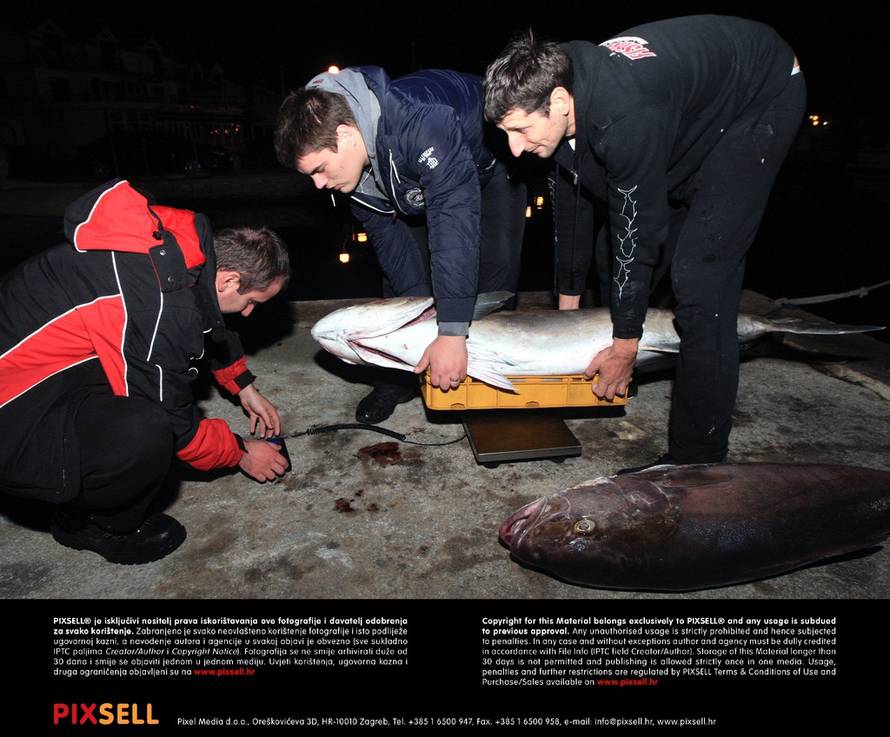 Duško Jaramaz/PIXSELL