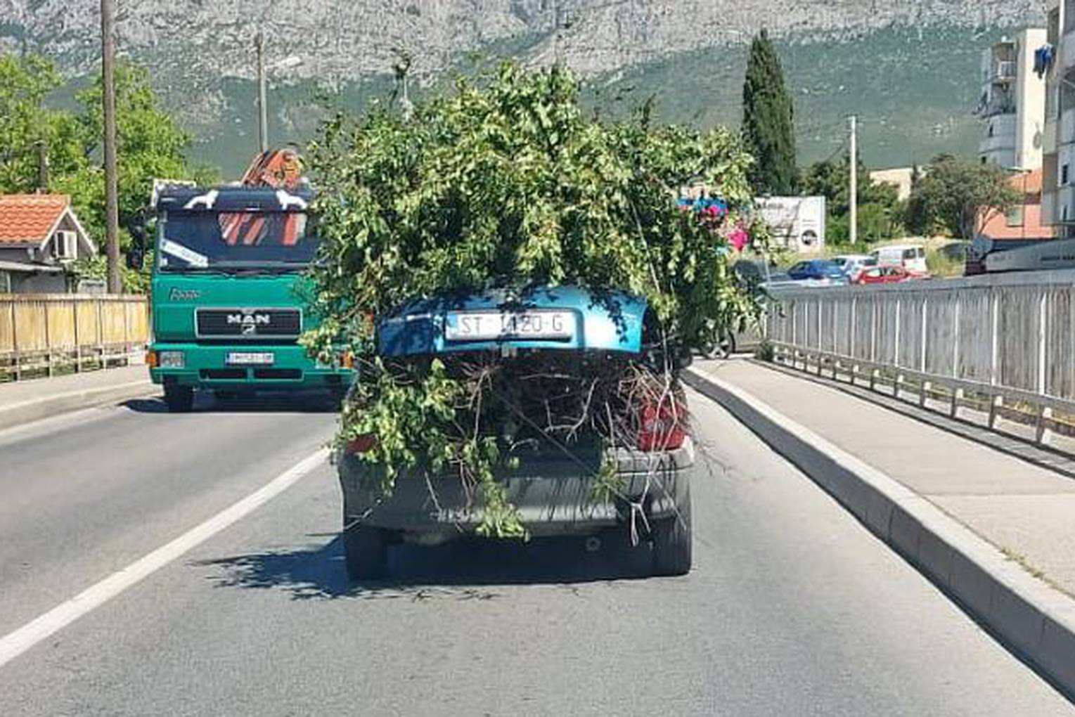 Urnebesna snimka iz Splita: 'Što je ovo?! Zeleni Opel? Grane su virile svuda, vozio je centrom'