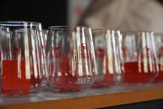 Rovinj: Svečano otvaranje 4. izdanja GinIstre