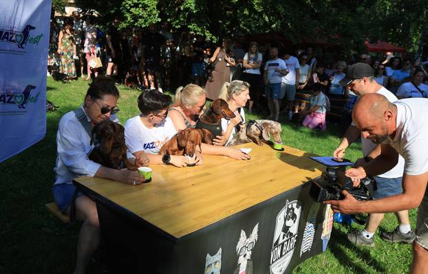 Zagreb: Međunarodni festival pasa jazavčara JAZOfest