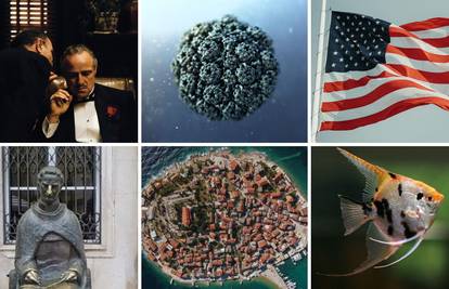 Novi kviz: Riješite ga i dokažite da ste pametniji od prijatelja!