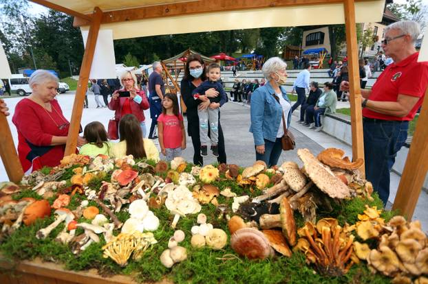 Duga Resa: U Amfiteatru održana tradicionalna gljivarska večer