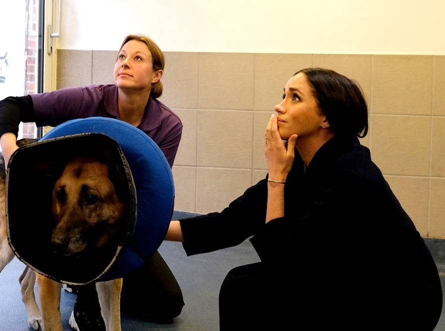 Meghan objavila nove fotke na Instagramu: 'Zasjenit će Kate'