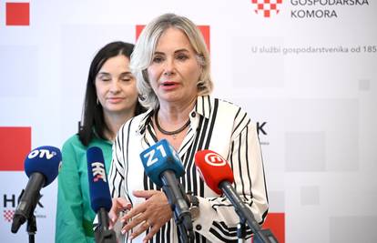 'Domaće tvrtke mogu obaviti posao rušenja Vjesnikova nebodera, pa izgradnju'