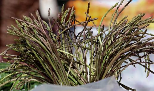 Vodi&ccaron; za lov na divlje &scaron;paroge: Pazite, kazne za nepropisnu berbu idu do 900 eura