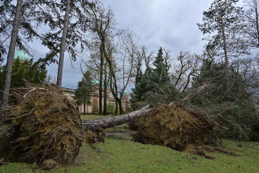 Zagreb: U nevremenu teško  oštećeno gradsko groblje Mirogoj